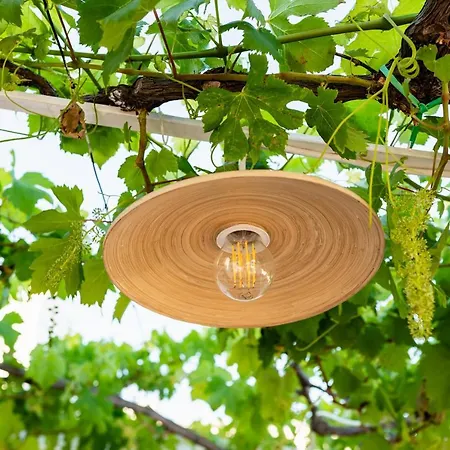 Il Pergolato Sul Mare Casa vacanze *