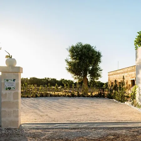 Il Pergolato Sul Mare Feriehus *