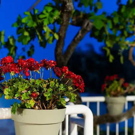 Il Pergolato Sul Mare *