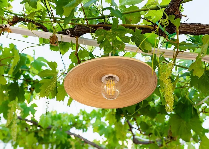 Il Pergolato Sul Mare Hébergement de vacances *