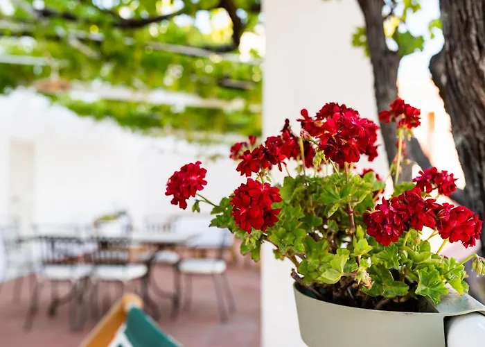 Il Pergolato Sul Mare Monopoli