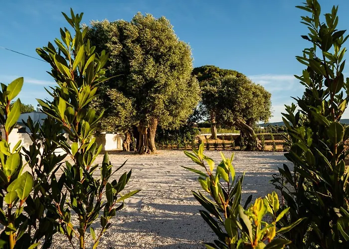 Il Pergolato Sul Mare Hébergement de vacances