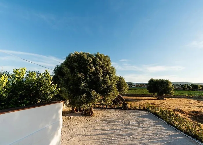 Il Pergolato Sul Mare *