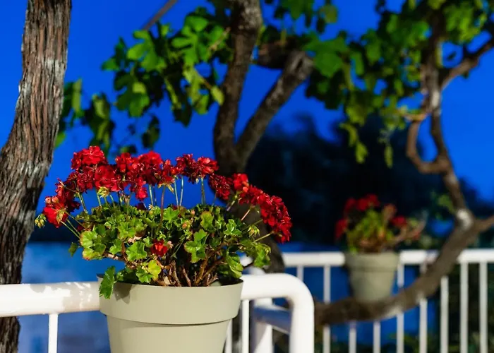 Il Pergolato Sul Mare *