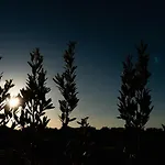 Il Pergolato Sul Mare