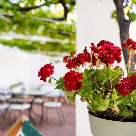 Il Pergolato Sul Mare Monopoli