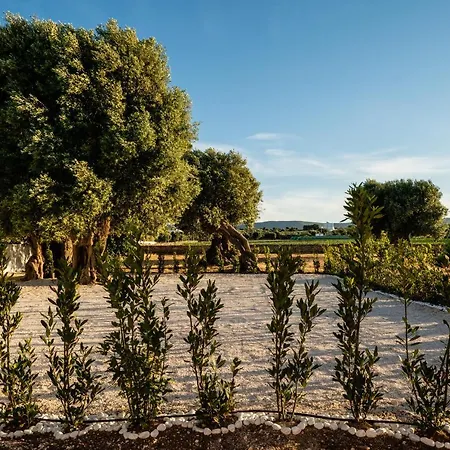 Il Pergolato Sul Mare Monopoli