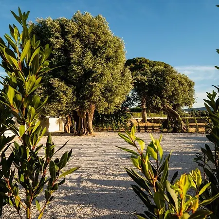 Il Pergolato Sul Mare Tatil Evi