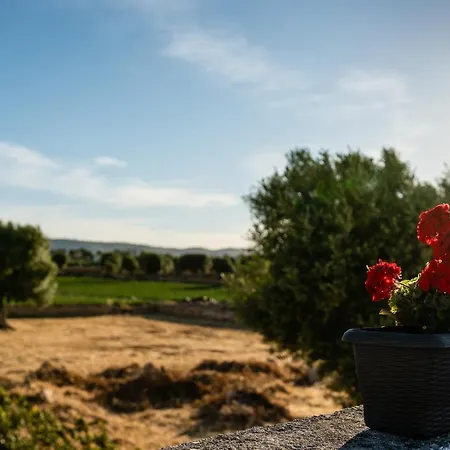 Il Pergolato Sul Mare Tatil Evi Monopoli