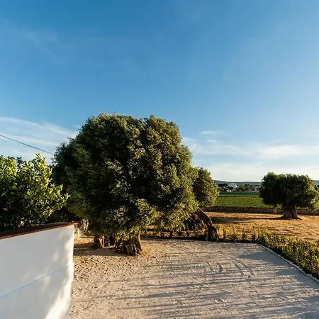 Il Pergolato Sul Mare *