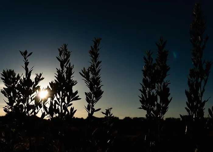 Il Pergolato Sul Mare