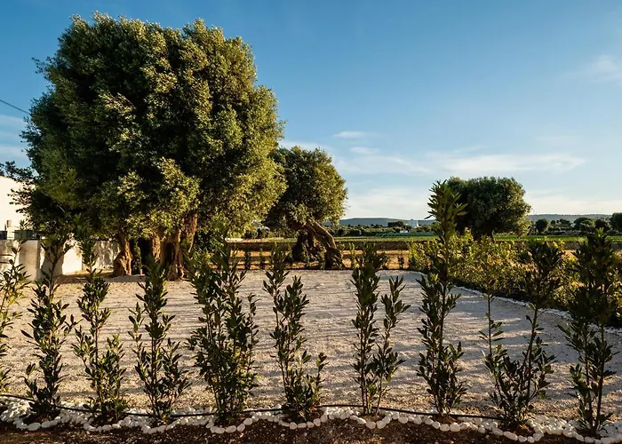 Il Pergolato Sul Mare Monopoli